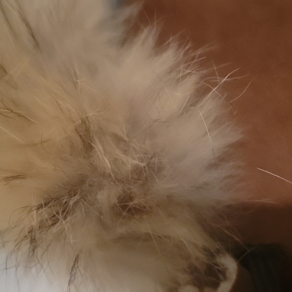 Andrew Marc Penny Lane Coat - Picture 4 of 10